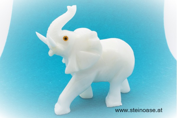 Elefant Selenit